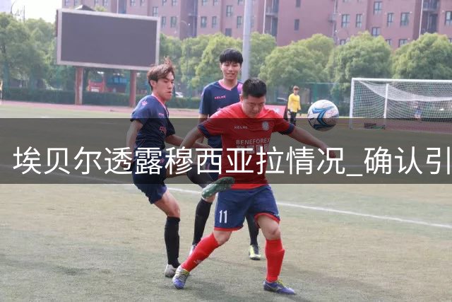埃贝尔透露穆西亚拉情况 确认引援计划顺利完成