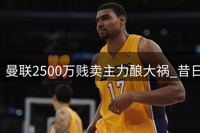 曼联2500万贱卖主力酿大祸 昔日弃将已成意甲王牌